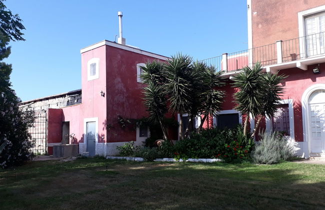 Tenuta Argiano - Foto 28