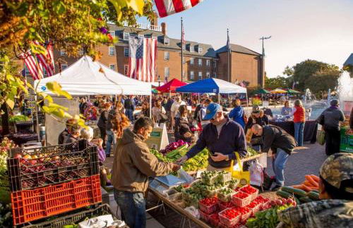 The Verdigris| 1800s Charm| King St| Easy Parking - Foto 44