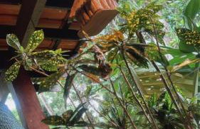 Flats do Félix - Foto 15