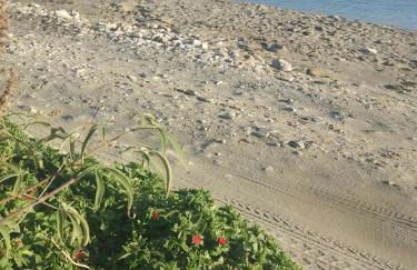 ''Sea front'' Rose's house - Foto 26