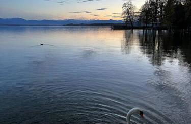 Garten-Ferienwohnung Seppi - Foto 24