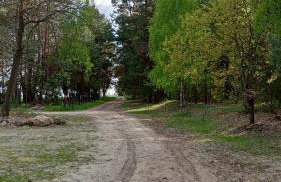 Kolorowe Wzgórze agroturystyka i konie - Foto 8