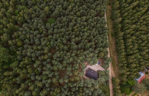 Łosia Chata - Foto 29