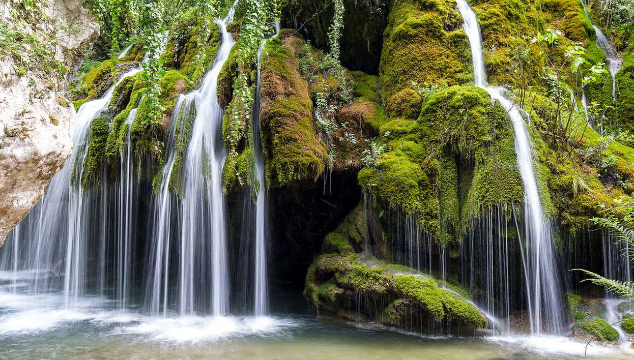 Hair of Venus Waterfalls Excursion - Foto 2