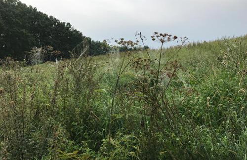 Andrzejówka - Photo 59