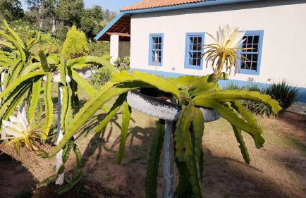 Sítio Casarão - Foto 6