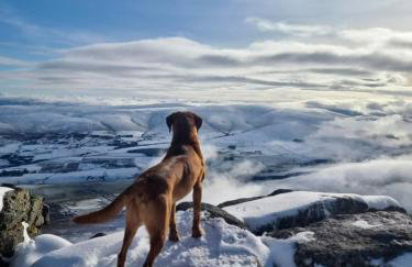 West Lodge, High Street - Foto 29