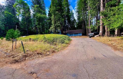 Cabin in the Trees-Game Room - Foto 56