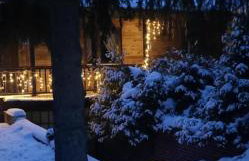 Leśny Czar - Foto 8