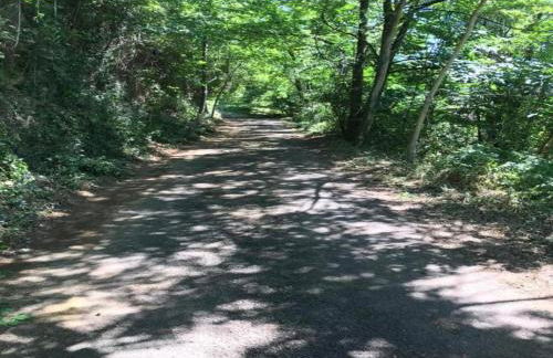 Cevennes View Retreat in Molieres - Photo 79