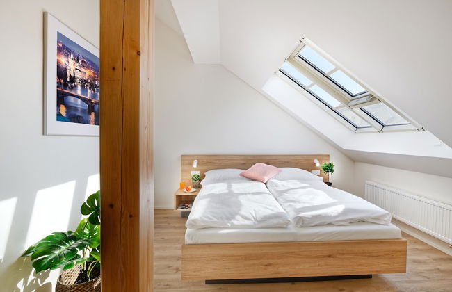 DownTown Suites Jugoslavska - Photo 7