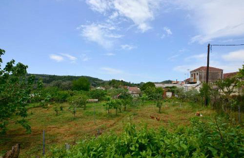 Balukas House - Foto 43