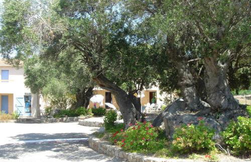 Residence Motel Corsicana - Foto 62