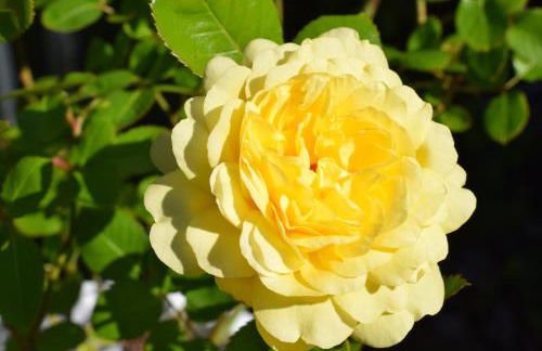 Ferienwohnung Ahrtalblick - Foto 83