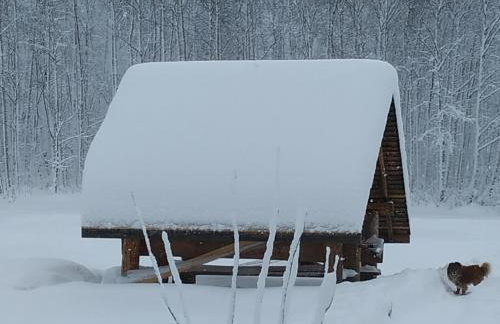 Domek w Bieńkówce - Foto 12