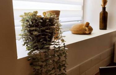 Gîte La Petite Longère - Foto 37