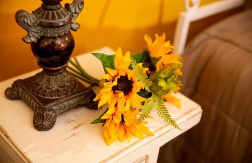 A Casa dos Girassóis - Foto 12