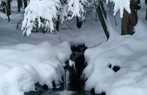 Fewo Kleine Auszeit - Foto 47