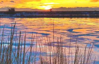 Farmington Gem, fenced yard, sleeps 6 - Foto 32