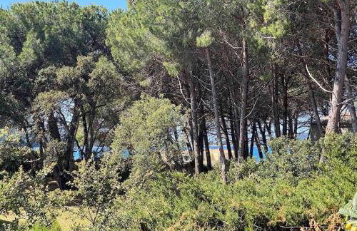 Mini villa agosta plage - Foto 24