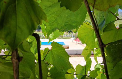 Holiday House Mila - Foto 6