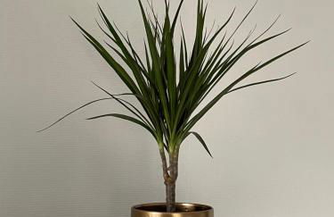 Superbe appartement bien placé - Foto 10