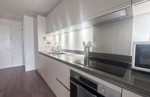 Amazing 1Bed with winter garden in Vauxhall - Foto 8