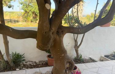 Home Music & Love - Foto 18