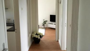 Apothekerwohnung - Foto 2