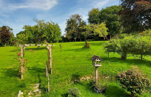 Little Forda - Foto 14