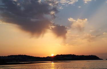 Sea Shells - Foto 17