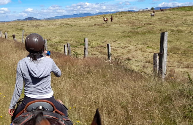 Excursion à cheval à la laguna de Suesca - Photo 6