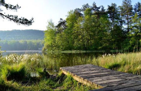 Le Gîte de l'Ecureuil - Foto 53