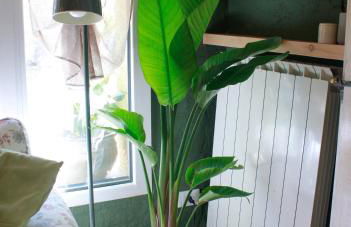 La casina di mezzo - Tiny House - Foto 10