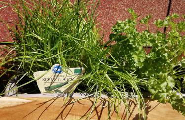 Schwandt-ein Bungalow mit Wasserblick, Ruderboot auf Anfrage - Foto 29