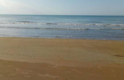 Villa Edoné Frontemare - Foto 31