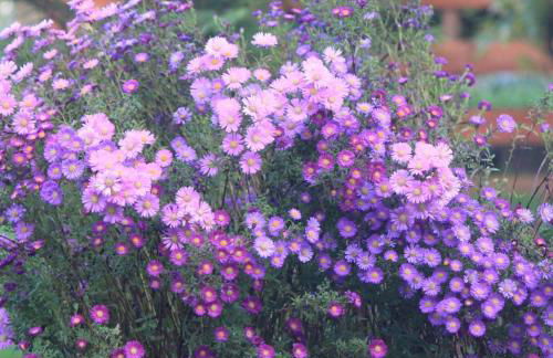 Casa dos meus avós -Villas - Gaia & Porto - Foto 29