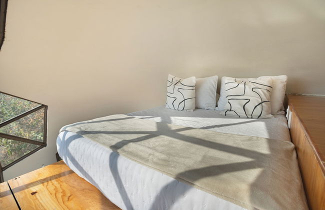 Bosque Geométrico - Foto 27