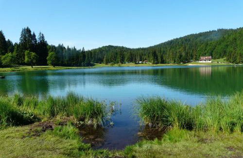 "Le Petit Paradis" au Centre Ville d'Oyonnax - Foto 74