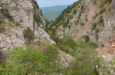 Konstantakos Michail - Photo 18