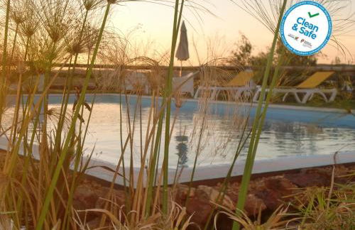 Horta da Quinta - Foto 36