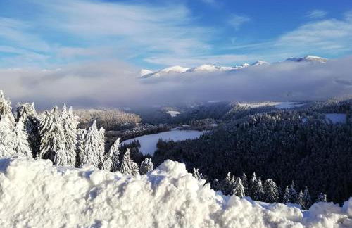 Kehrerhof Urlaub auf dem Bauernhof - Photo 42