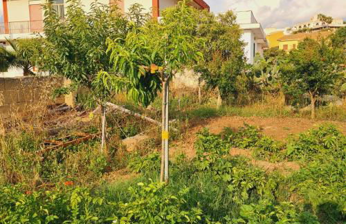 A un Passo dal Tramonto - Foto 25