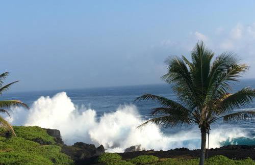 Mediteranean style Ohana Rental / Garden Bungalow in Pahoa - Photo 44