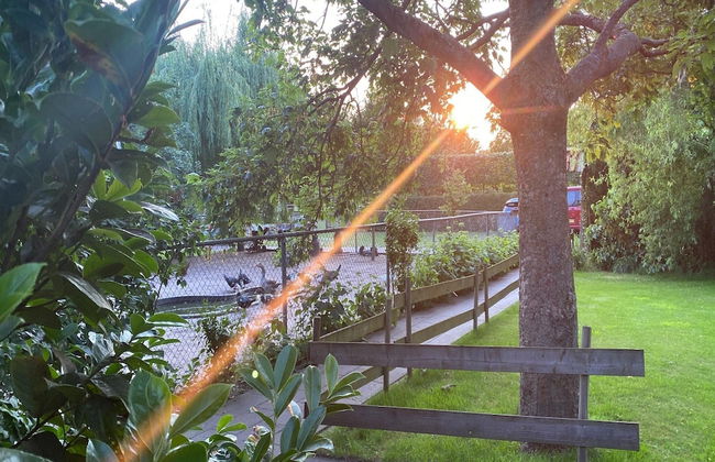 Holiday Home in Bergen op Zoom With Garden - Foto 22