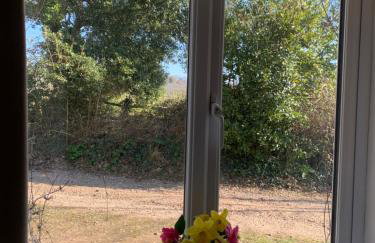 Stunning Location Devon - Photo 14