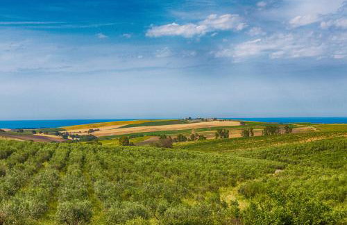 Villa Nino - Foto 39