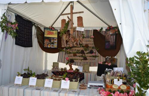 Casas de Montanha da Gralheira - Foto 32