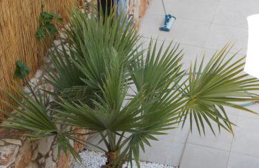 Sissi - Villa Eleftheria - Foto 29