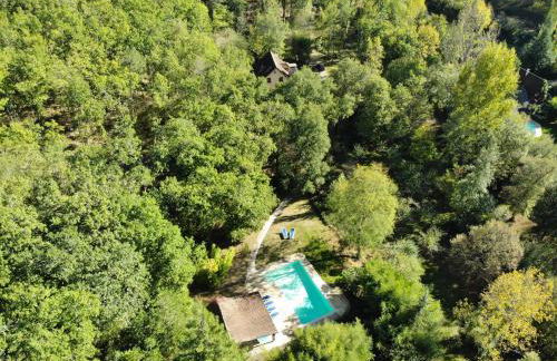 Owi - Idyllisches Ferienhaus inmitten der Natur - Foto 7